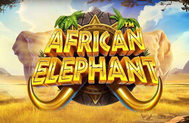 African Elephant